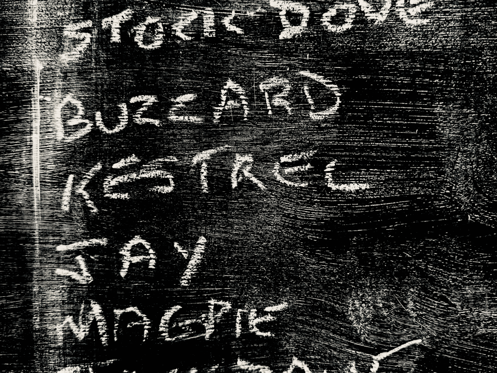 Sightings, Whitlingham